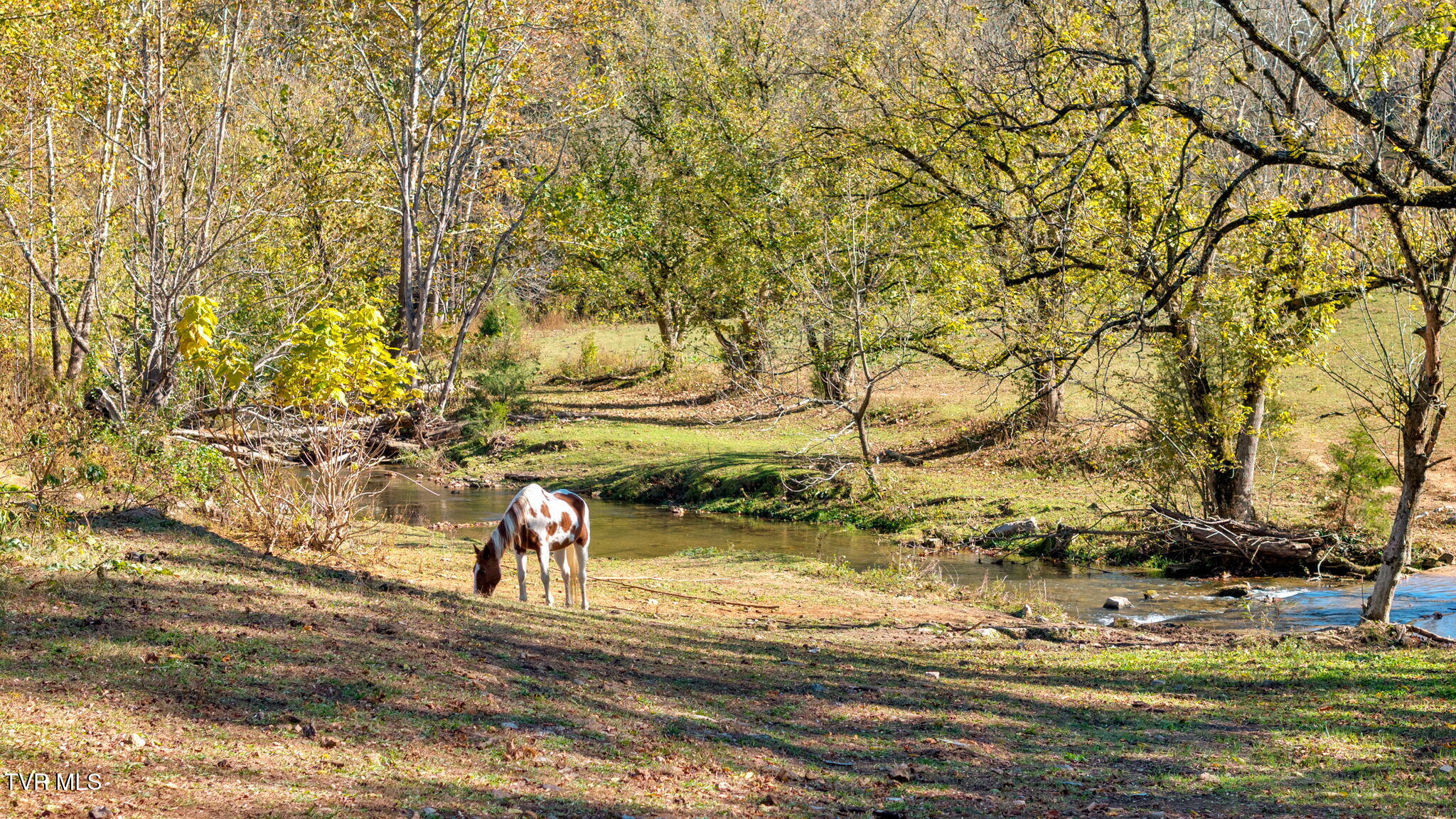 3176 Highway 421 Bristol, TN 37620 - Photo 24 of 61 21-web-or-mls-DJI_20251024153432_0619_D