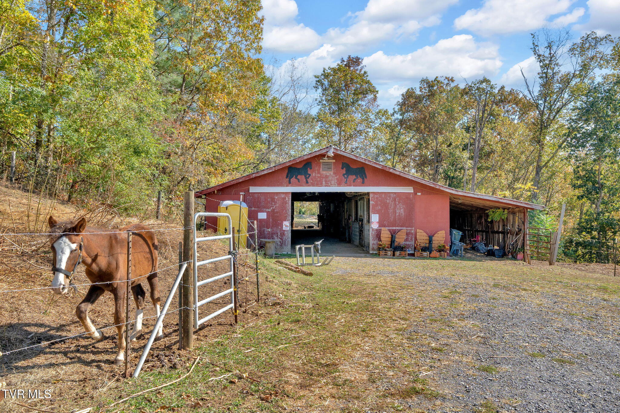 3176 Highway 421 Bristol, TN 37620 - Photo 26 of 61 31-web-or-mls-DSC09354