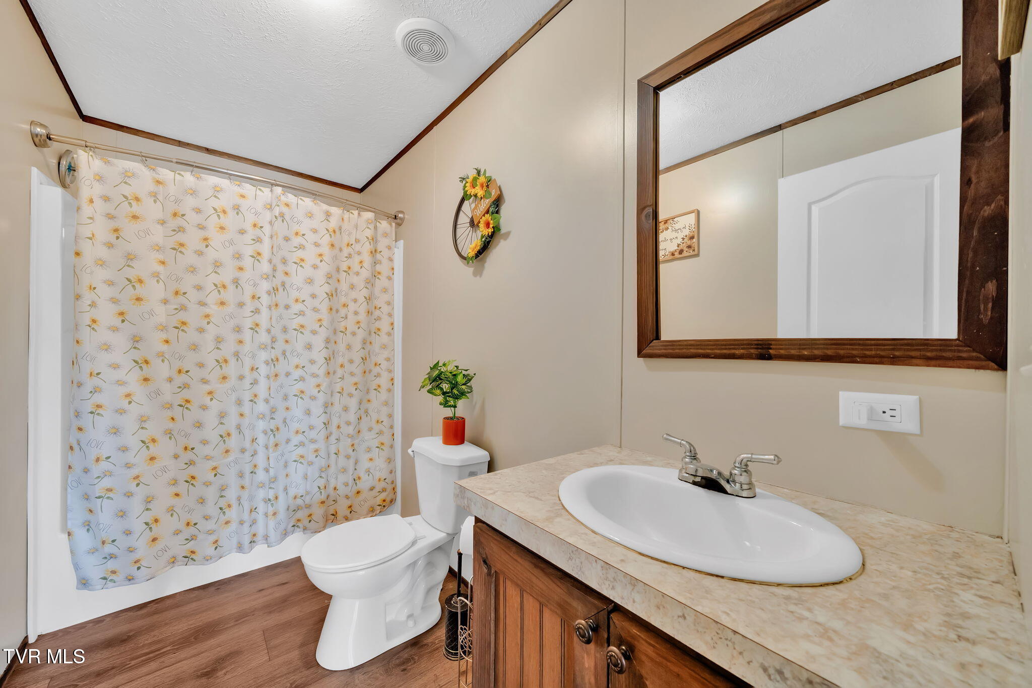 3176 Highway 421 Bristol, TN 37620 - Photo 53 of 61 45-web-or-mls-DSC09249