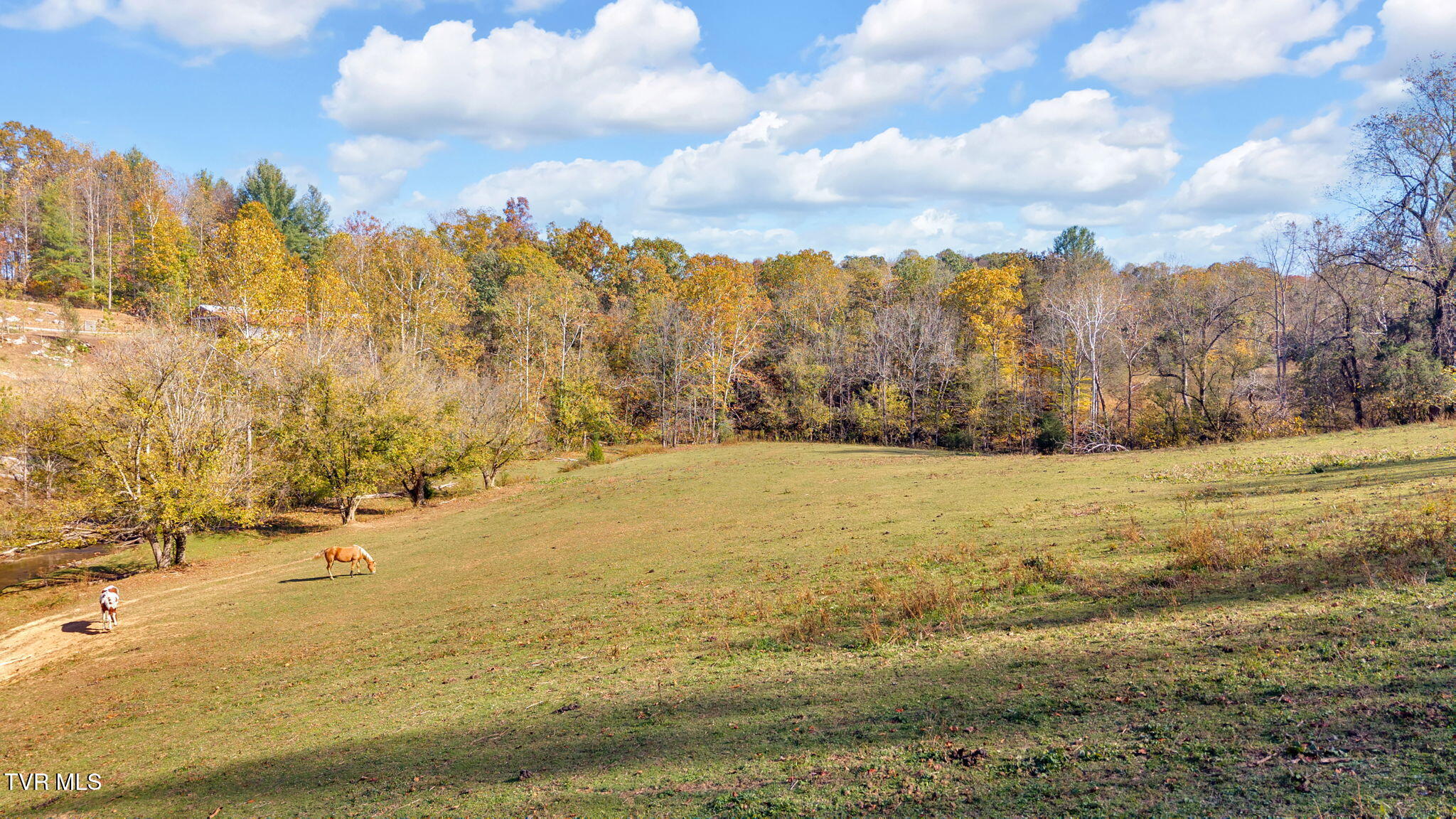 3176 Highway 421 Bristol, TN 37620 - Photo 59 of 61 54-web-or-mls-DJI_20251024152010_0592_D