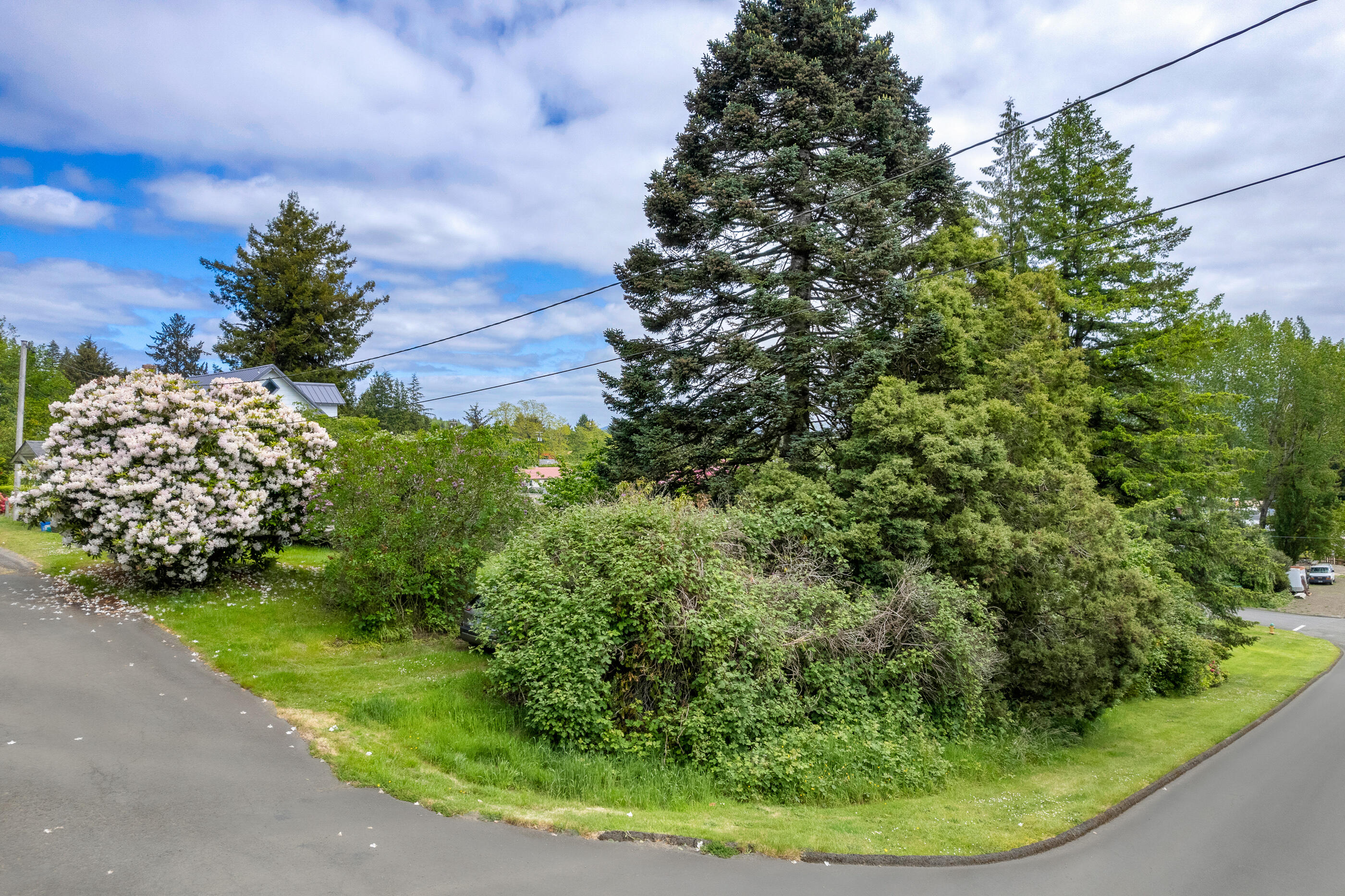 3800 11th Street Nehalem, OR 97131 - Photo 1 of 5 BH-35915_11th_Nehalem-007-Broken_Banjo-W