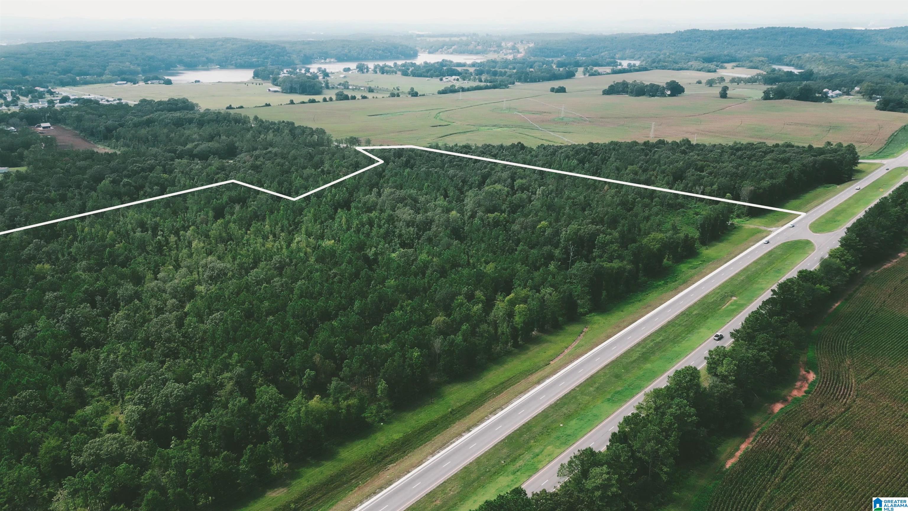 Hwy 77 State Road, Unit 1 Talladega, AL 35160 - Photo 4 of 8