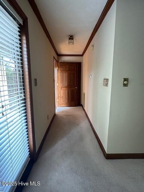 1220 Spivey Road Whiteville, NC 28472 - Photo 37 of 57 Hallway to sunroom