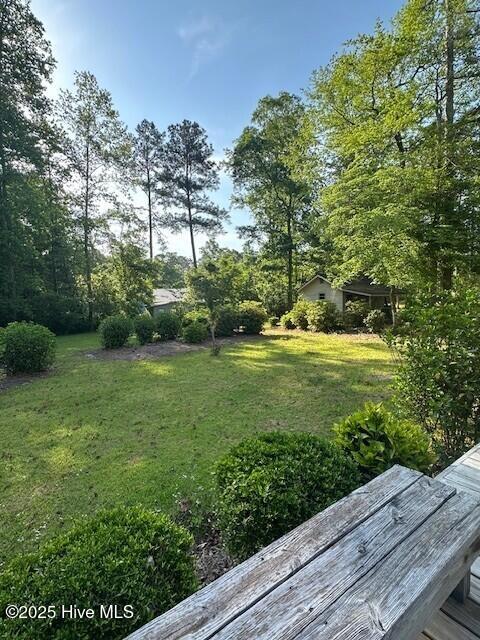 1220 Spivey Road Whiteville, NC 28472 - Photo 6 of 57 Back Yard