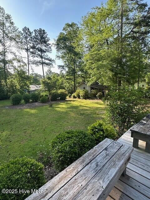 1220 Spivey Road Whiteville, NC 28472 - Photo 7 of 57 Back Yard 2