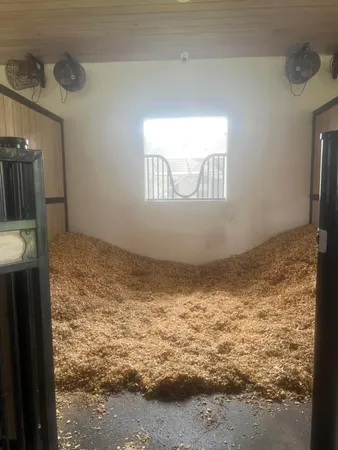 a view of room and window