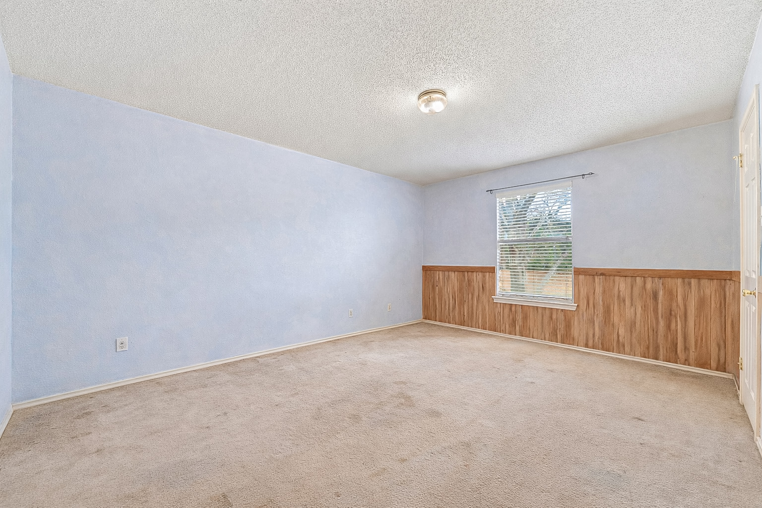 4008 Springwillow Lane Round Rock, TX 78681 - Photo 10 of 29 Virtually staged - Flex room with wooden walls, a wainscoted wall, a textured ceiling, and carpet floors