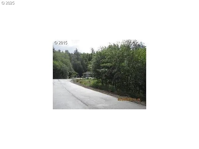a view of a forest with a tree in the background