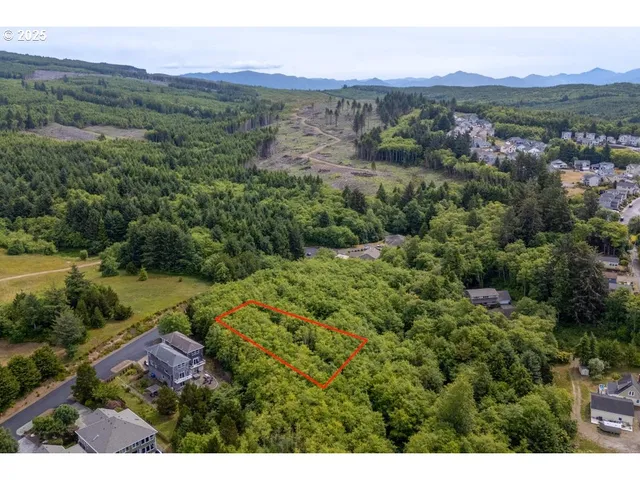 a view of a lush green hillside and houses