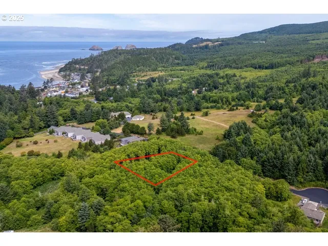 a view of a city with mountains in the background