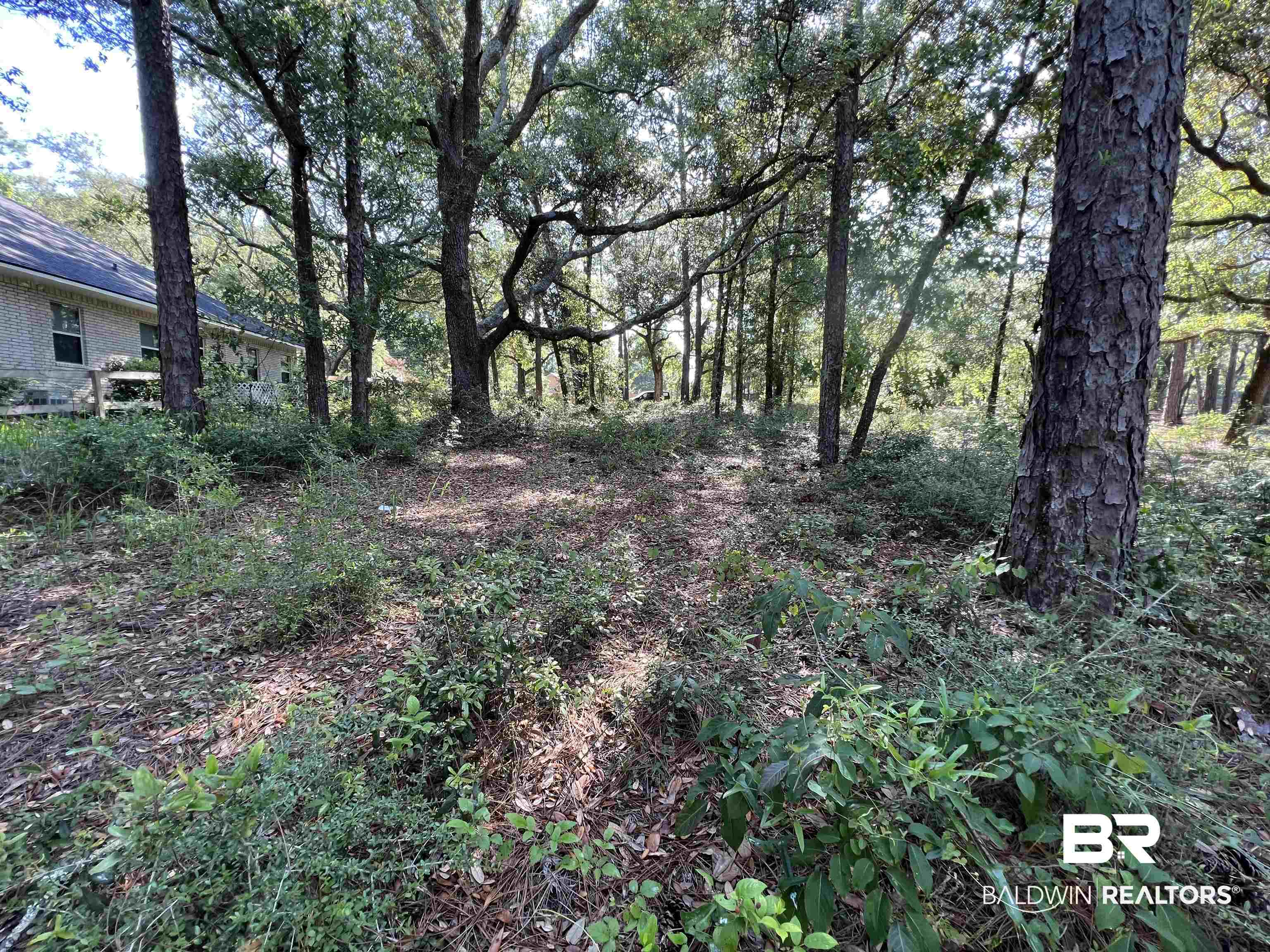 9545 North Bayou Road Lillian, AL 36549 - Photo 22 of 34 View of local wilderness