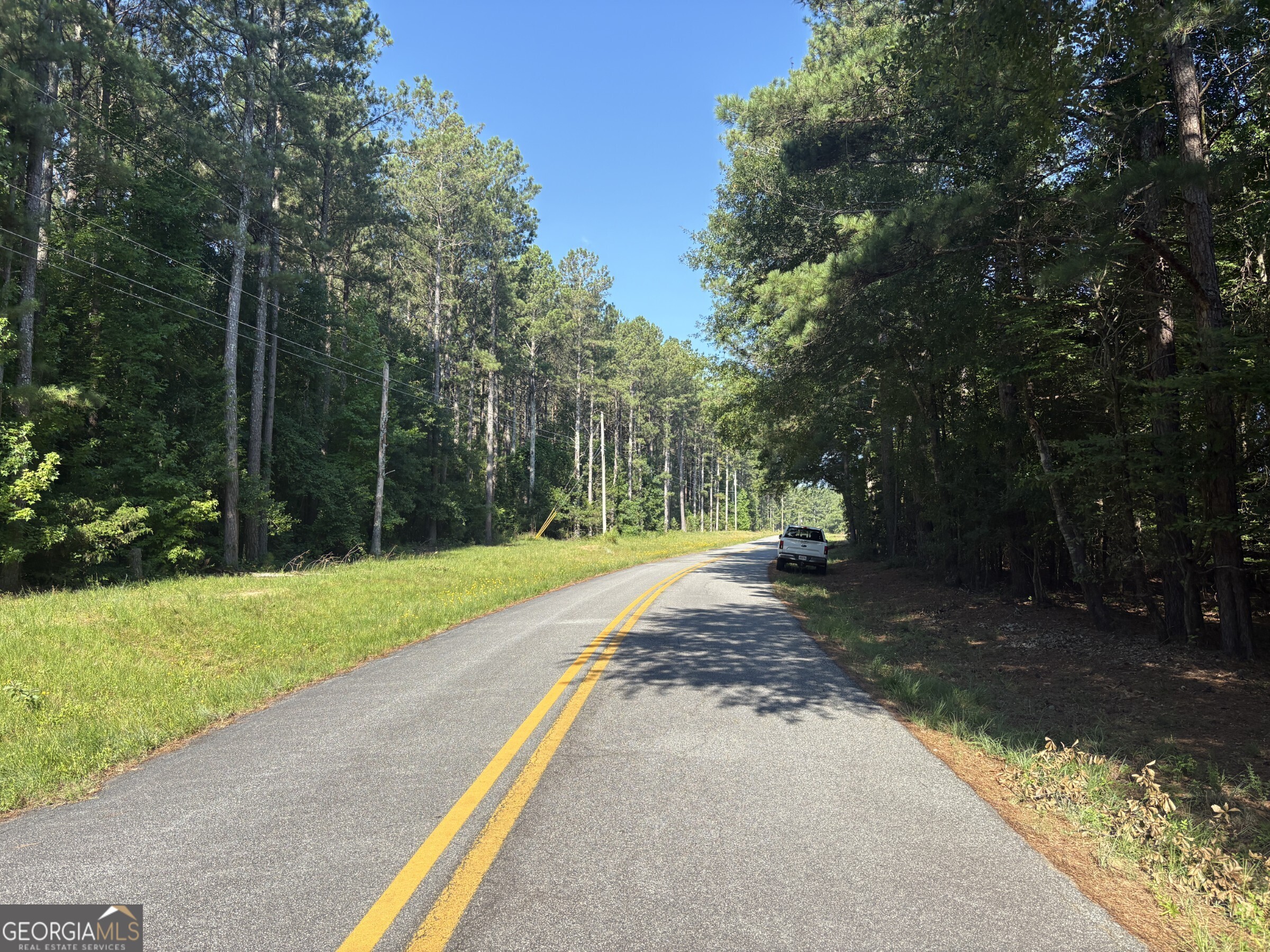 41 Elton Stewart Road Carlton, GA 30627 - Photo 8 of 12