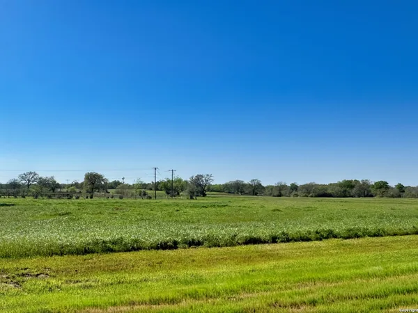 a view of a grassy field with trees