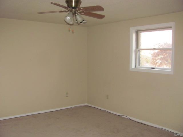 6500 Wenzel Road Alton, IL 62002 - Photo 11 of 14