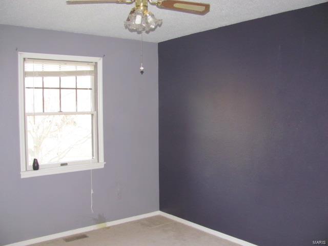 6500 Wenzel Road Alton, IL 62002 - Photo 10 of 14