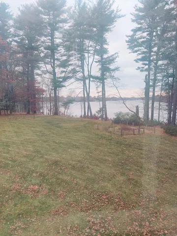 a backyard of a house with lots of tall trees