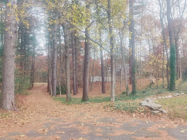 a backyard of a house with lots of tall trees