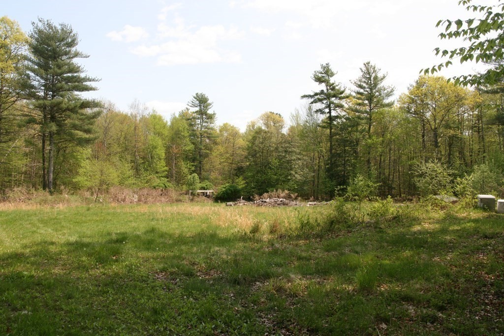 Lot 3 Featherbed Lane Rochester, MA 02770 - Photo 11 of 13 a view of a lush green forest with large trees