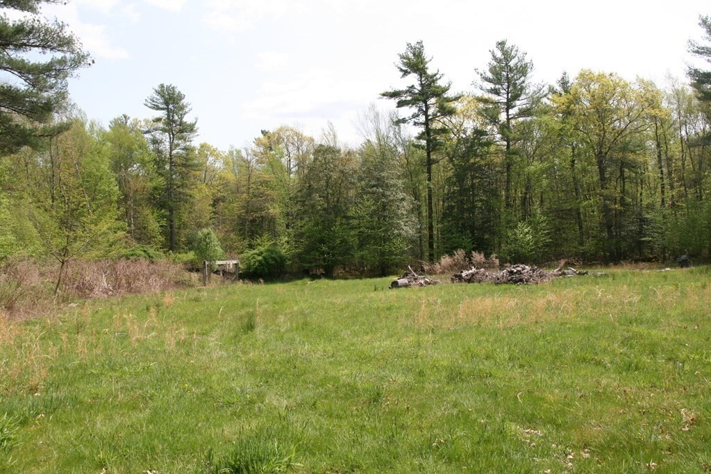 Lot 3 Featherbed Lane Rochester, MA 02770 - Photo 8 of 13 a view of a yard with a tree