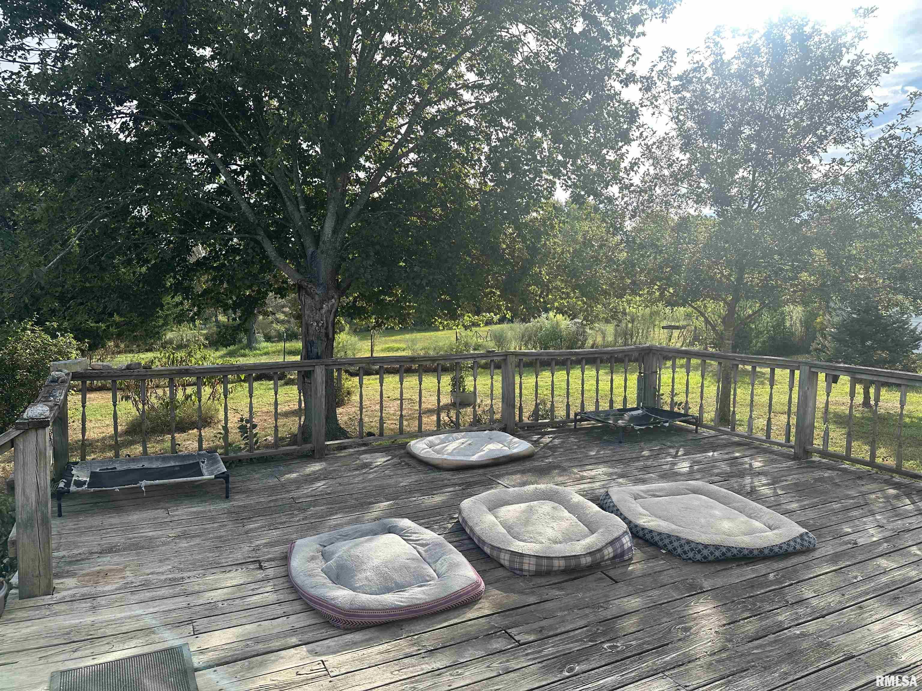 4295 Lick Creek Road Buncombe, IL 62912 - Photo 21 of 26