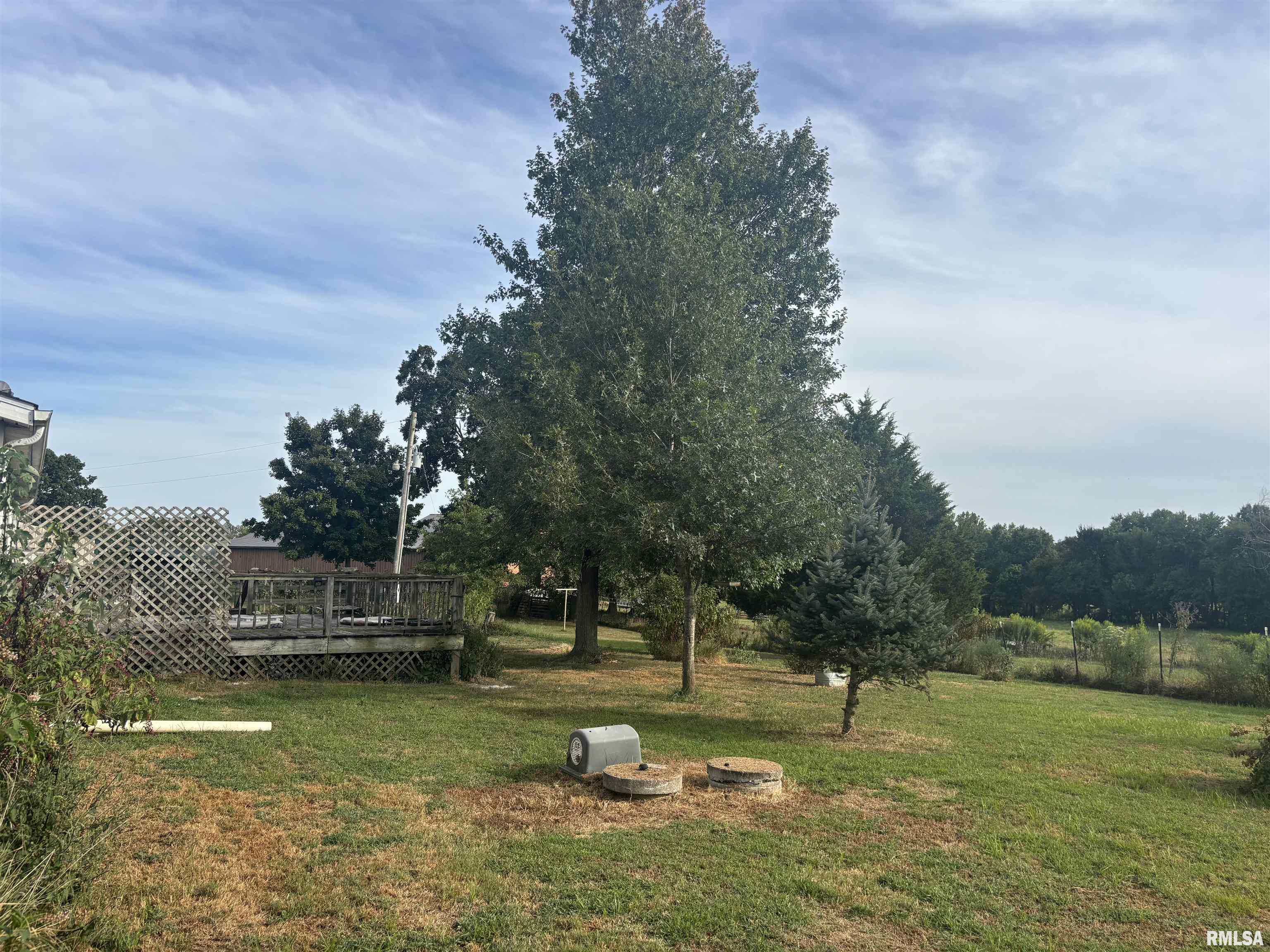 4295 Lick Creek Road Buncombe, IL 62912 - Photo 26 of 26