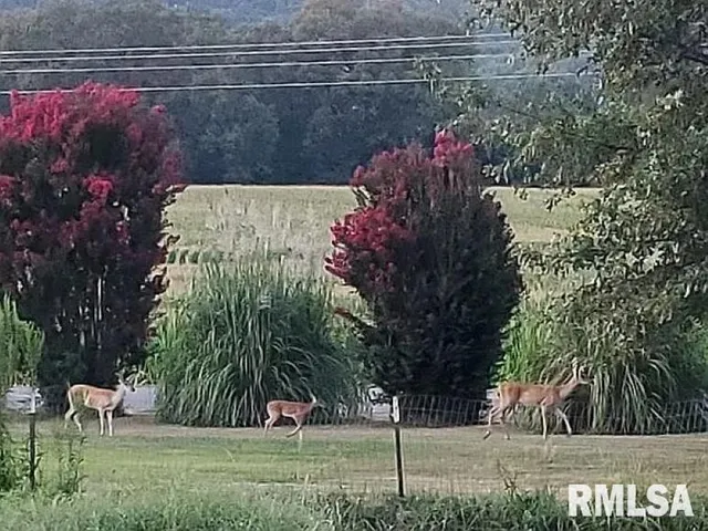 $179,900 | 4295 Lick Creek Road, Buncombe, IL 62912