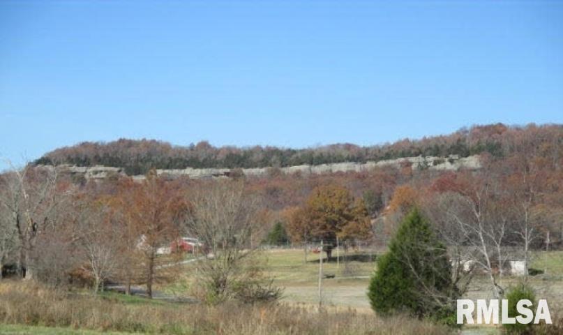 4295 Lick Creek Road Buncombe, IL 62912 - Photo 4 of 26