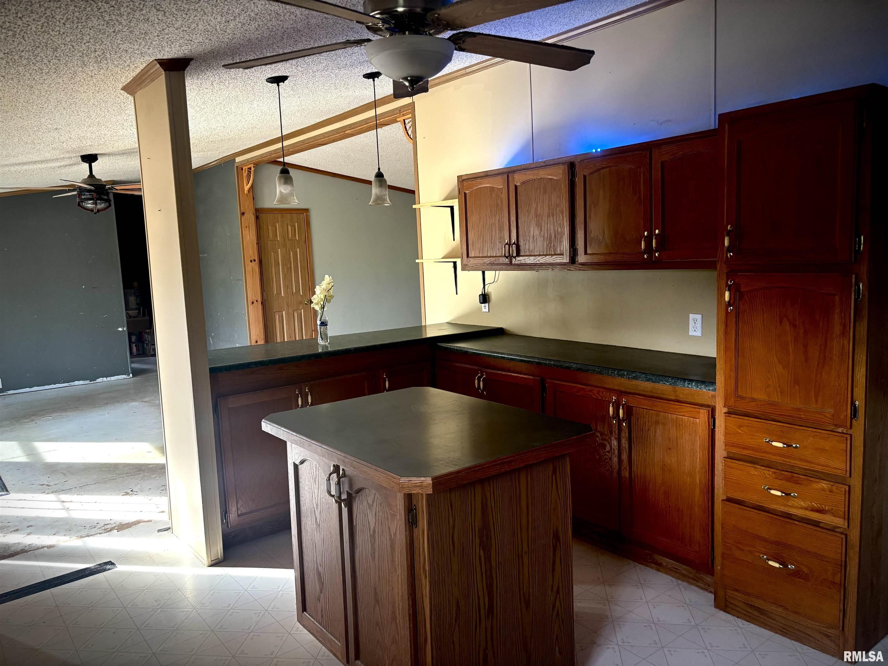 4295 Lick Creek Road Buncombe, IL 62912 - Photo 6 of 26