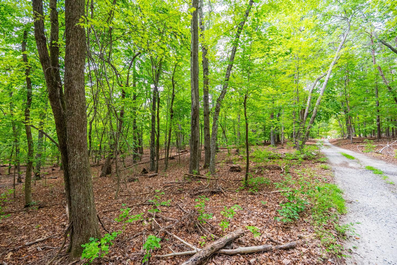 0 Atwell Lane Keysville, VA 23947 - Photo 17 of 25 a backyard of a house with lots of green space
