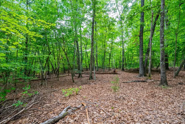 an aerial view of a houses
