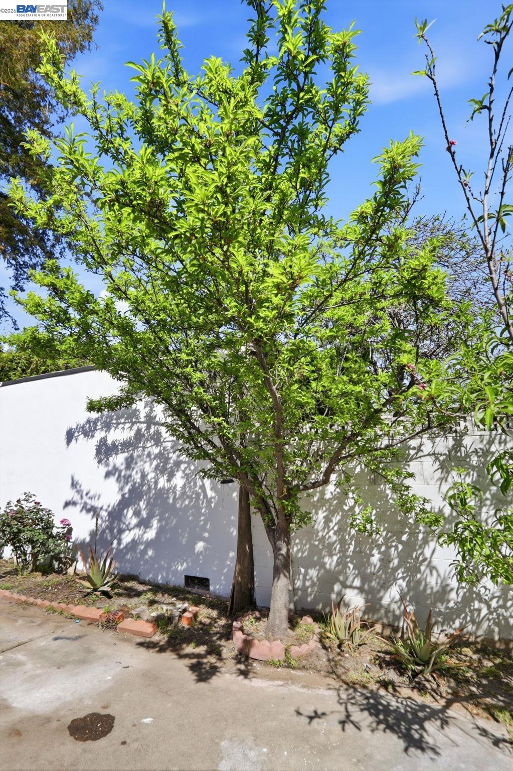 40930 Rioja Court Fremont, CA 94539 - Photo 23 of 55