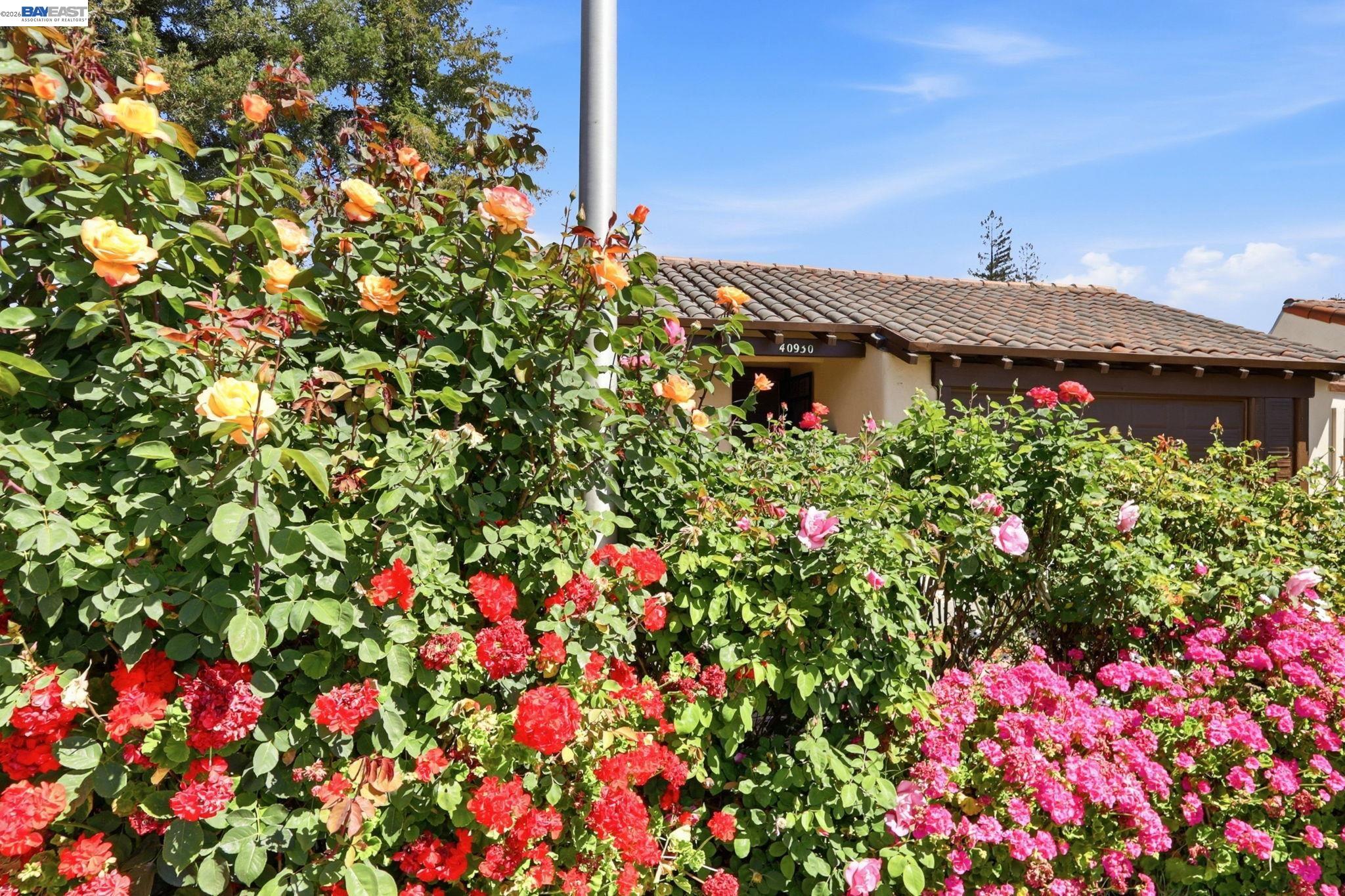 40930 Rioja Court Fremont, CA 94539 - Photo 4 of 55