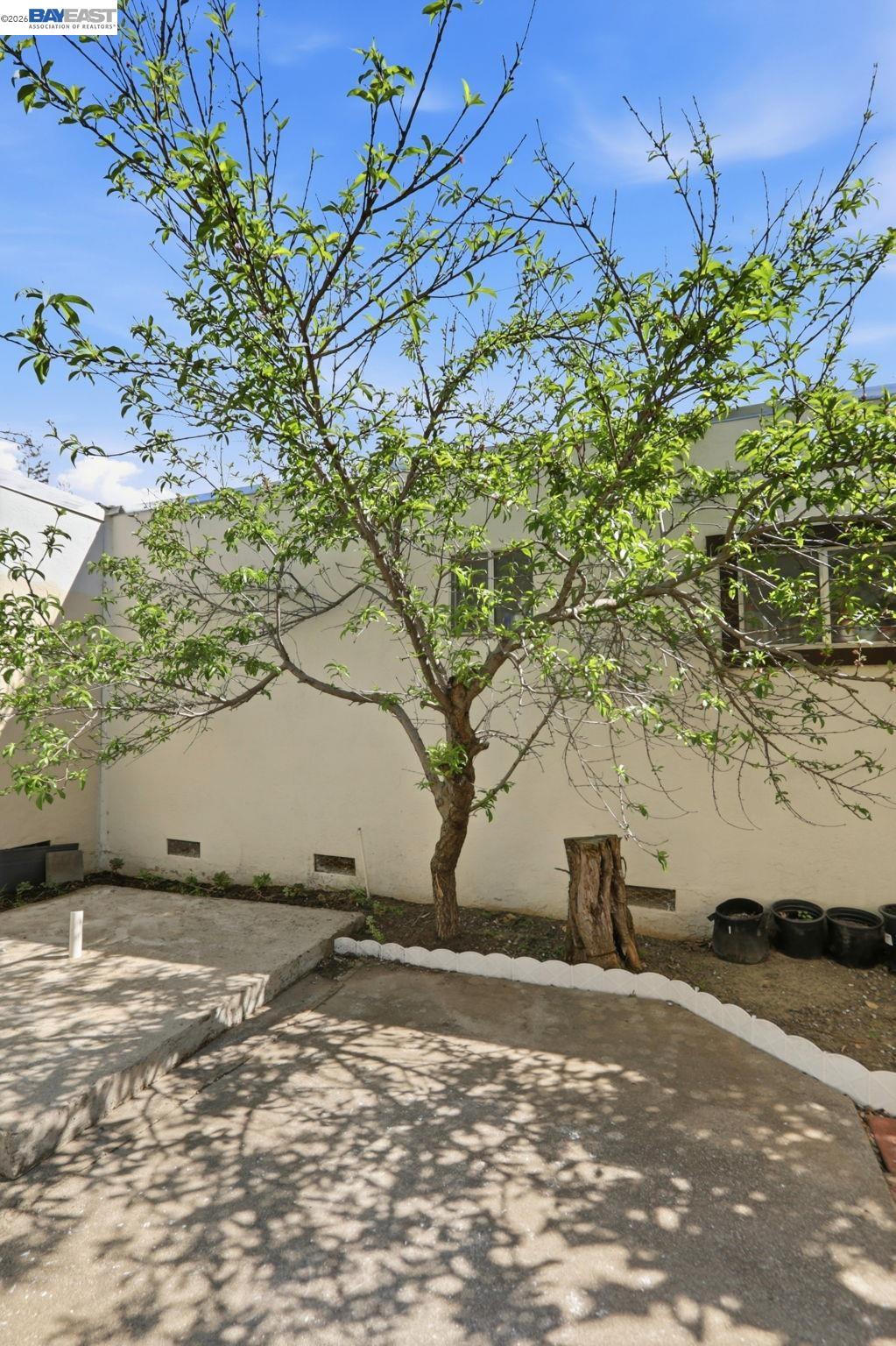40930 Rioja Court Fremont, CA 94539 - Photo 45 of 55