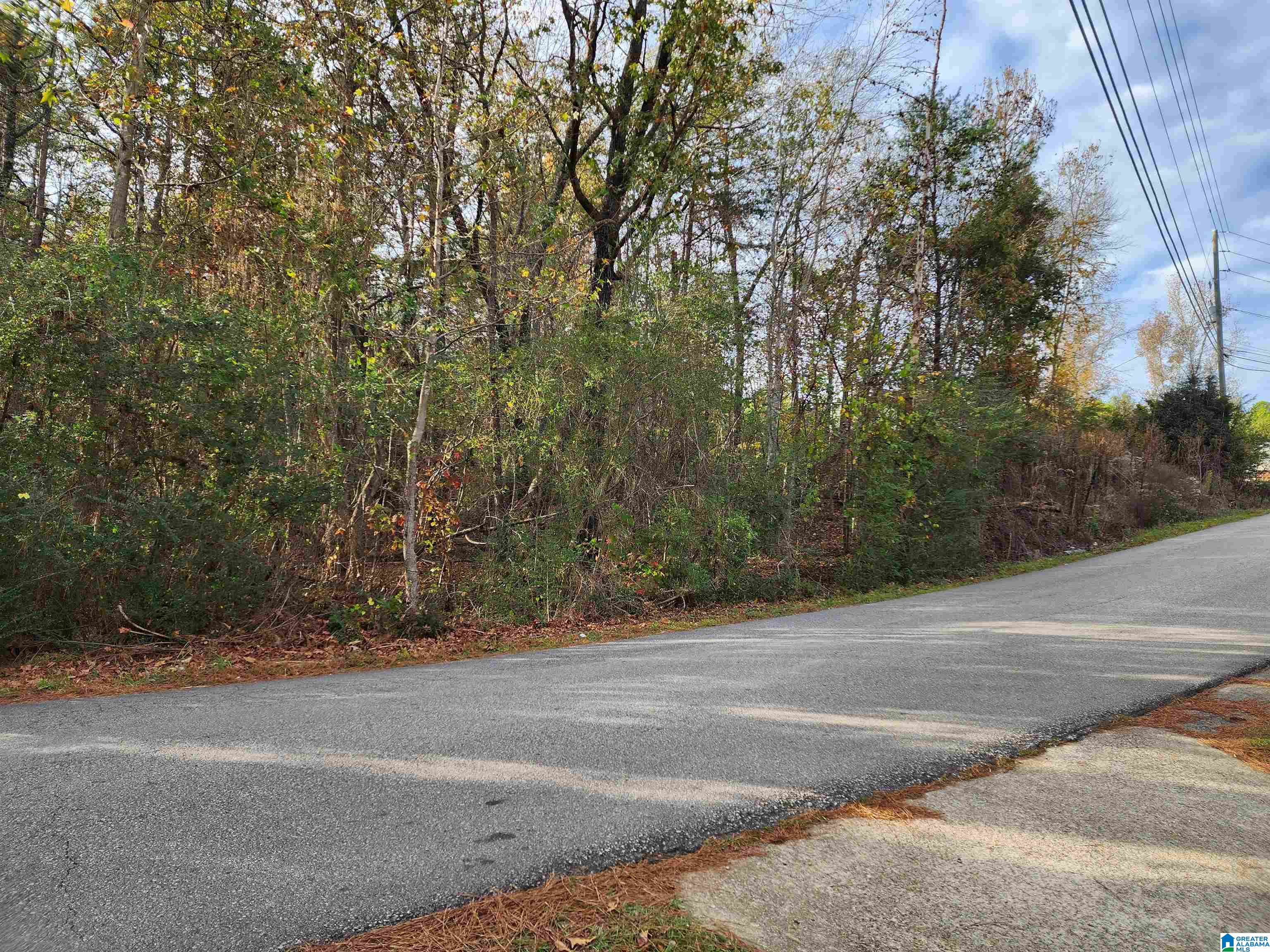 1849 Cedar Creek Road, Unit 8 Odenville, AL 35120 - Photo 9 of 11