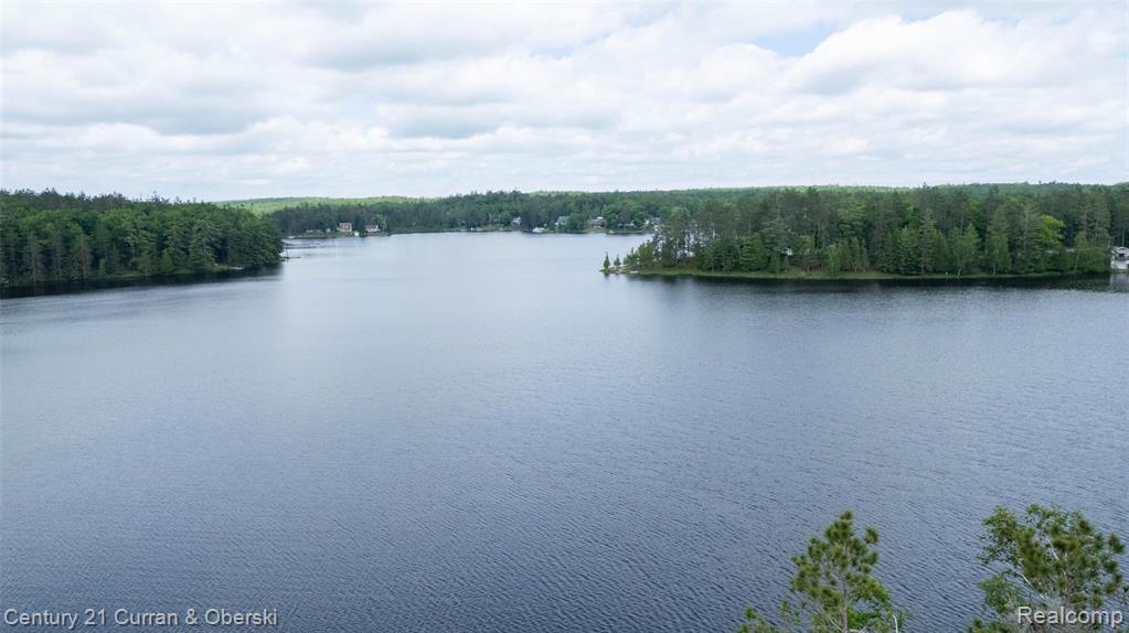 8775 Winding Ridge Drive Millersburg, MI 49759 - Photo 52 of 53