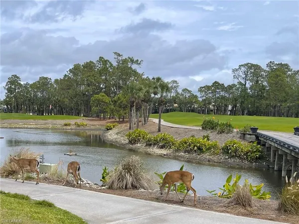 a view of a lake with a big yard and large trees