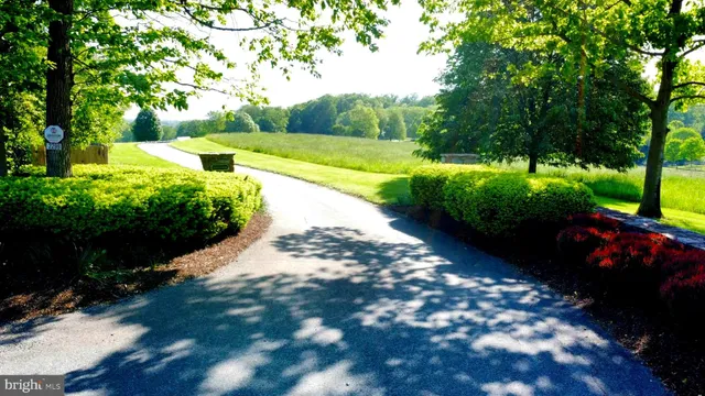 a view of a garden with a bench