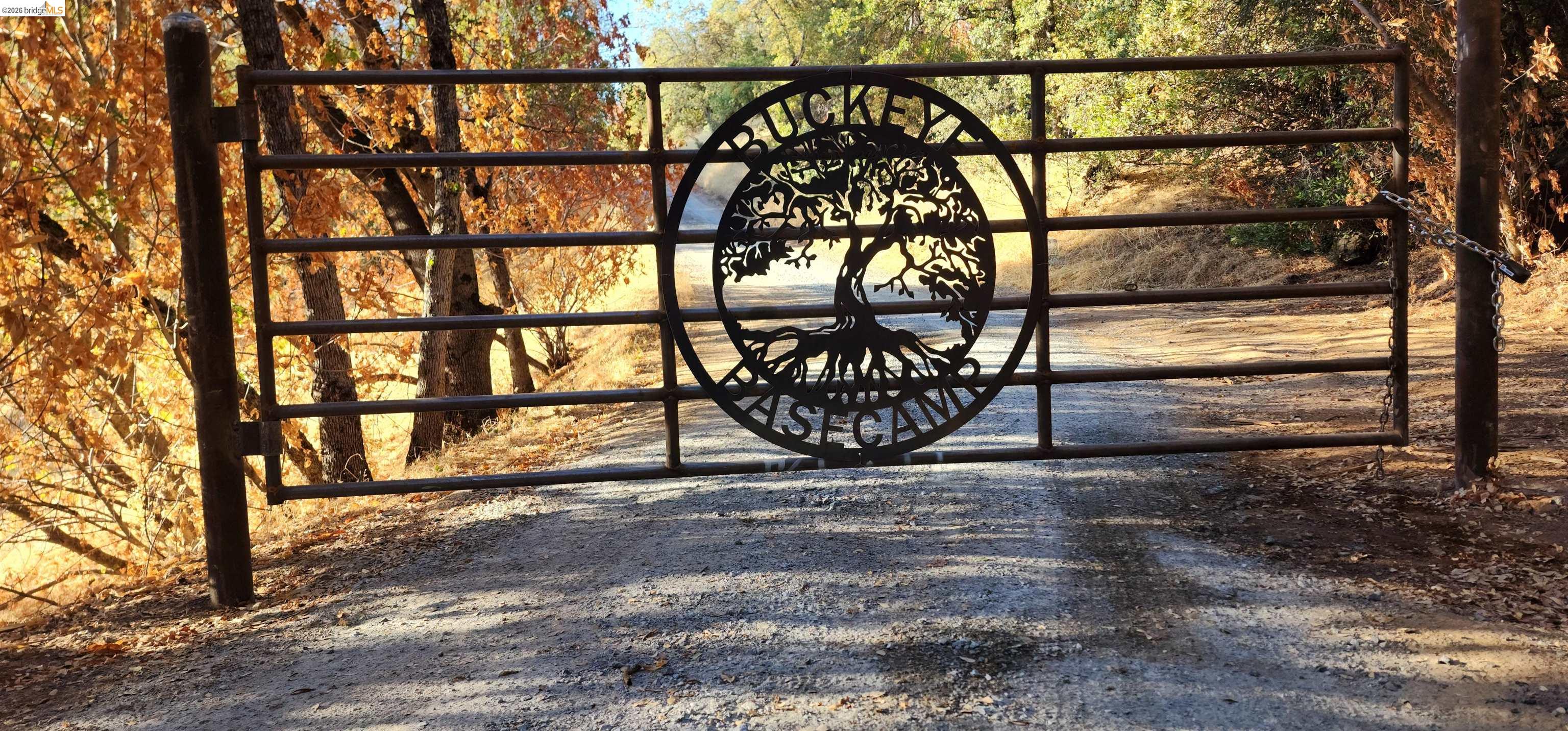 18399 Lime Kiln Road Sonora, CA 95370 - Photo 3 of 36 Metal bar gate with a custom circular cutout design featuring a tree motif