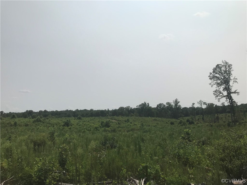 a view of a city with lush green forest