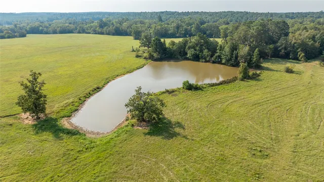 $8,000,000 | 1206 County Road 1515, Crockett, TX 75835