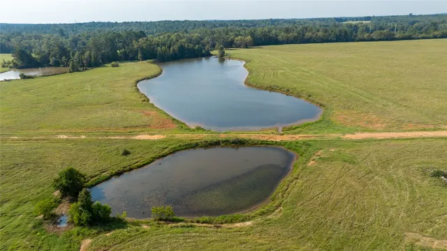 $8,000,000 | 1206 County Road 1515, Crockett, TX 75835