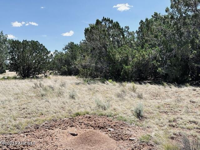 32 Stewart Road Seligman, AZ 86337 - Photo 54 of 62 a view of outdoor space and yard