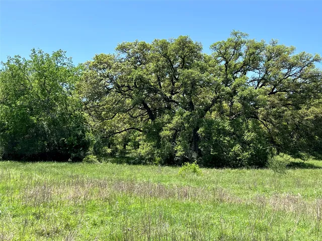 a view of yard with green space