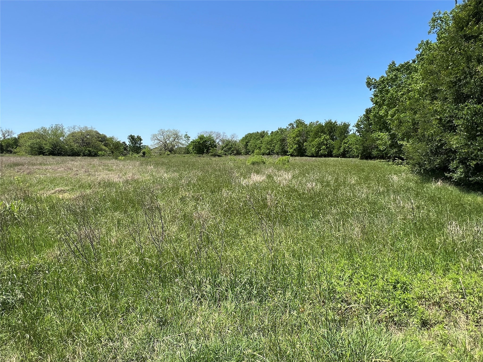 0 Fm 1579 And Langdon Road Schulenburg, TX 78956 - Photo 3 of 12 a view of a field with an ocean