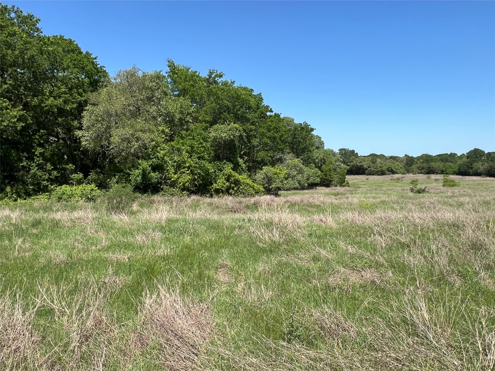 0 Fm 1579 And Langdon Road Schulenburg, TX 78956 - Photo 4 of 12 a view of a field with an ocean view