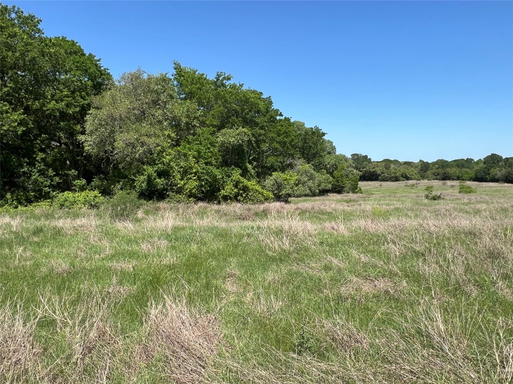 0 Fm 1579 And Langdon Road Schulenburg, TX 78956 - Photo 4 of 12 a view of a field with an ocean view