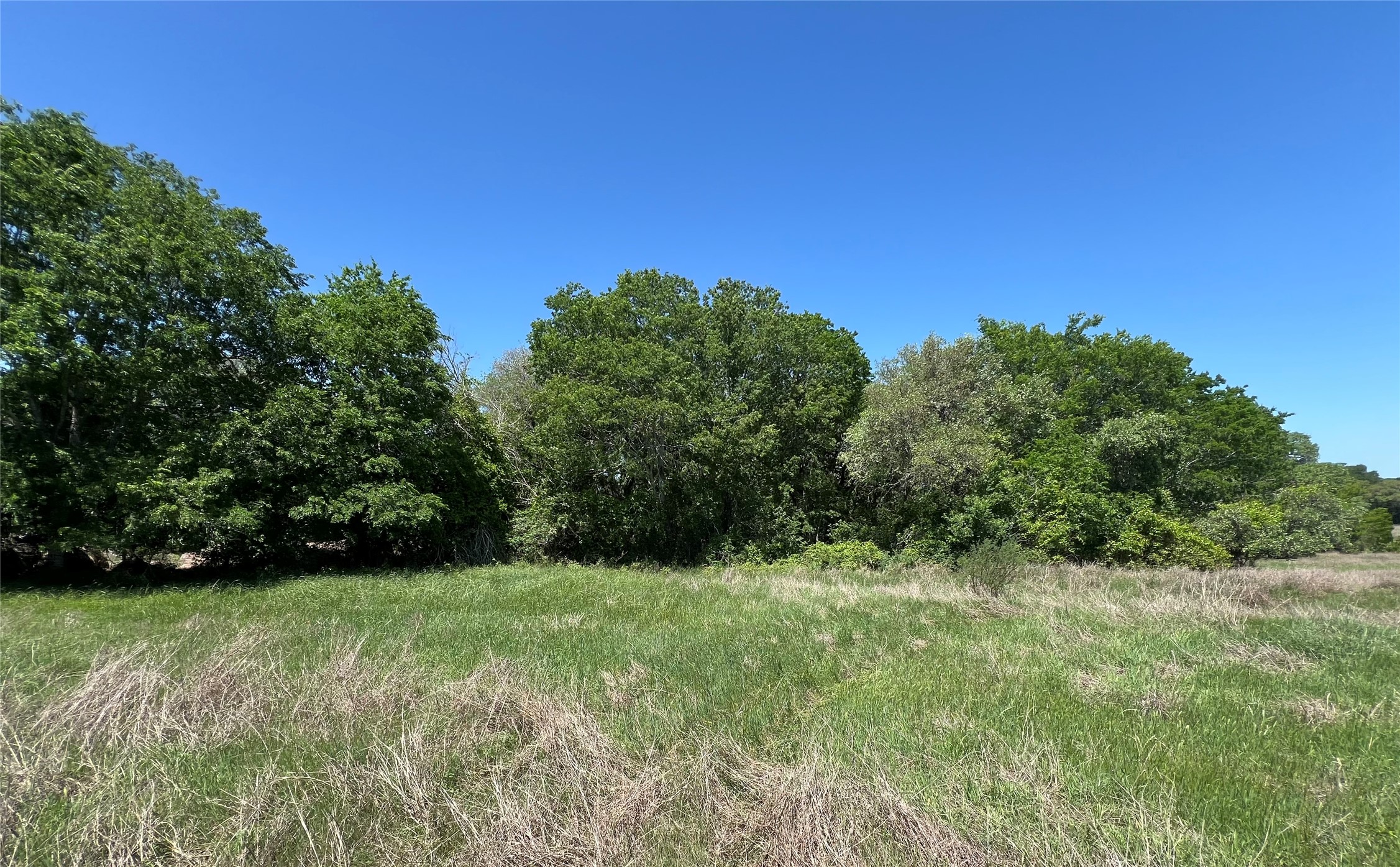 0 Fm 1579 And Langdon Road Schulenburg, TX 78956 - Photo 5 of 12 a view of a green field with trees in the background