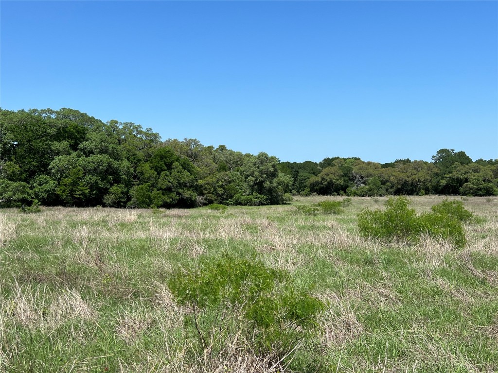 0 Fm 1579 And Langdon Road Schulenburg, TX 78956 - Photo 7 of 12