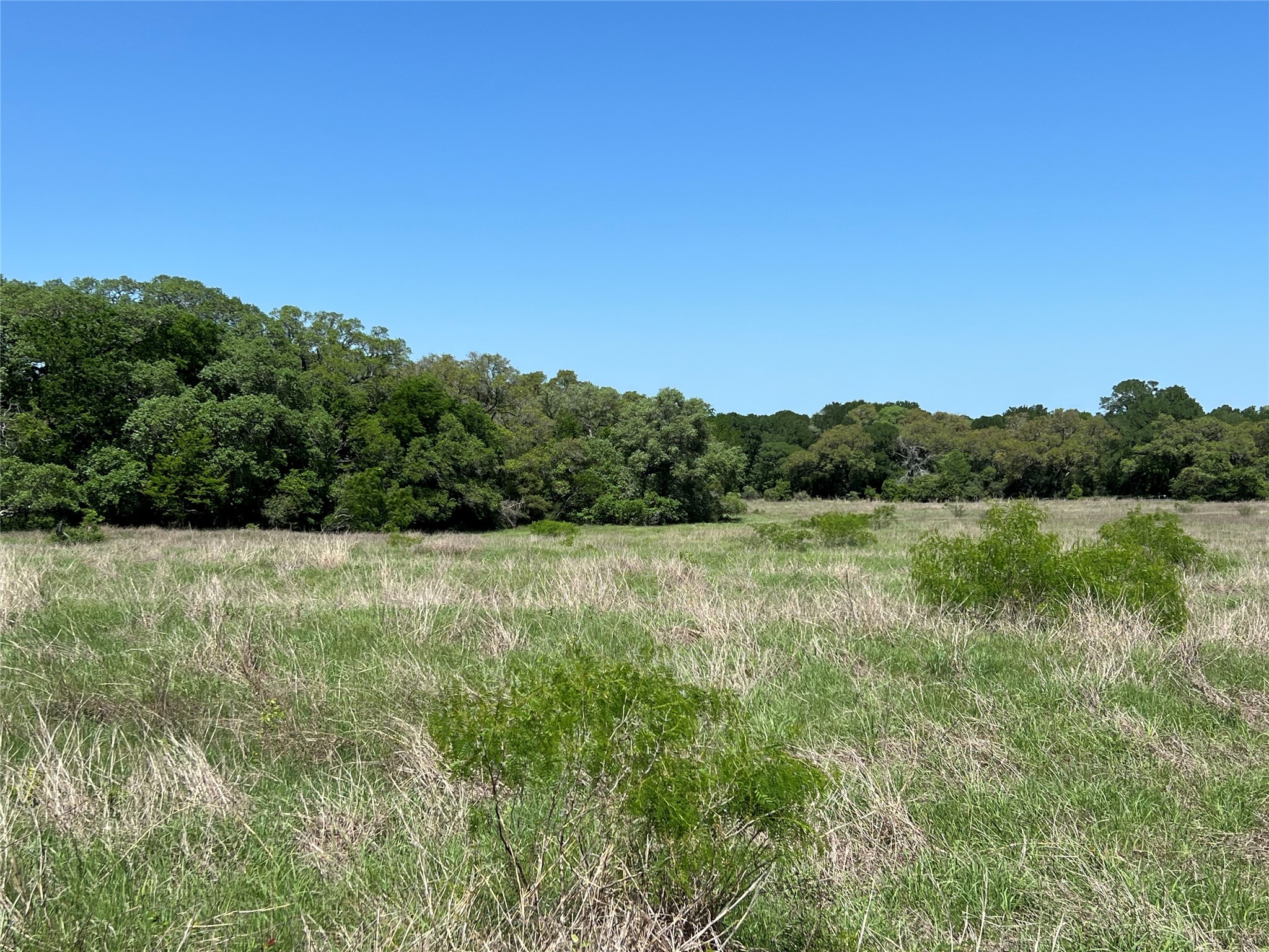 0 Fm 1579 And Langdon Road Schulenburg, TX 78956 - Photo 7 of 12 a view of lake and mountain view