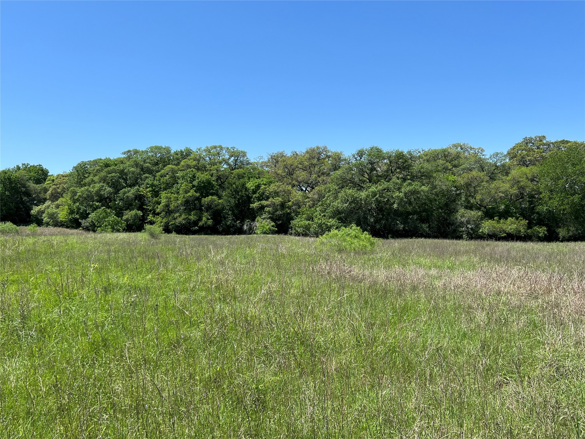 0 Fm 1579 And Langdon Road Schulenburg, TX 78956 - Photo 8 of 12 a view of a green field with wooden fence
